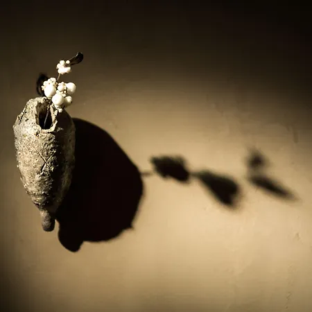 Zannier Le 5* Megève