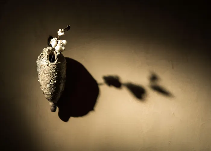 Zannier Le 5* Межев